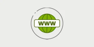 MainWP Domain Monitor Extension